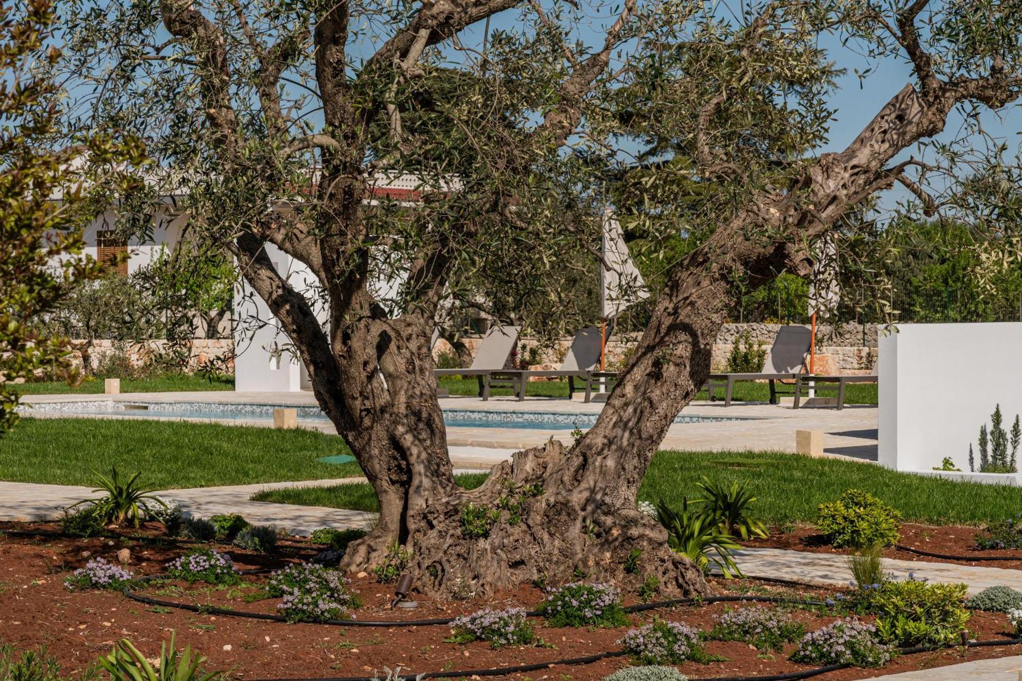 Trullo Jale - Boutique Apartments Ostuni Ngoại thất bức ảnh